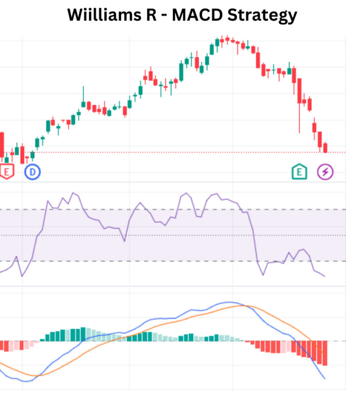 Mastering Trends: Williams R - MACD Strategy Bollinger Bands RSI Strategy 2