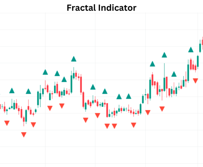 Profit Market with Fractal Indicator Fractal Indicator