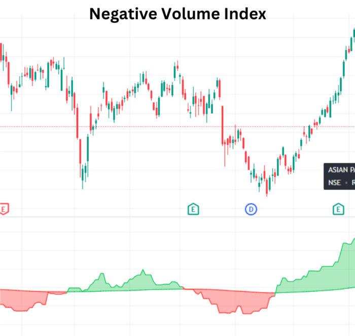 Decoding Market Sentiment with Negative Volume Index (NVI) Negative Volume Index