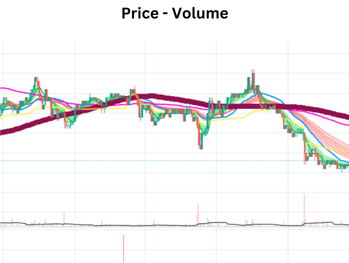 Unraveling Success with the Price-Volume Indicator (PVOL) Price Volume