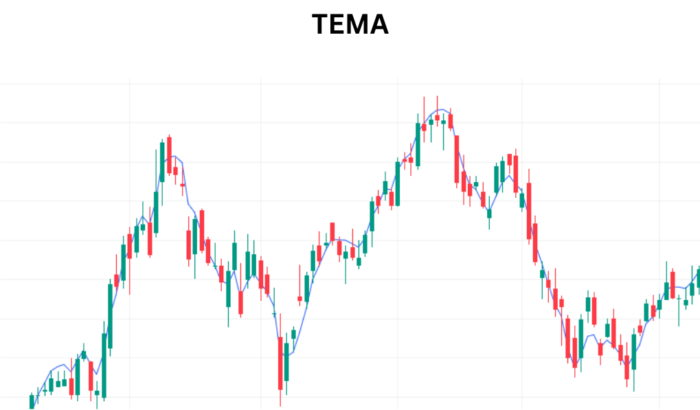 Mastering Trends with TEMA: A Comprehensive Guide TEMA